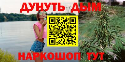 ешки Новодвинск