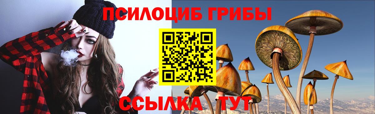 Псилоцибиновые грибы ЛСД  Галлюциногенные грибы Psilocybe  Вход с VPN  Ржев 